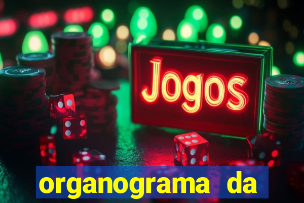 organograma da cacau show